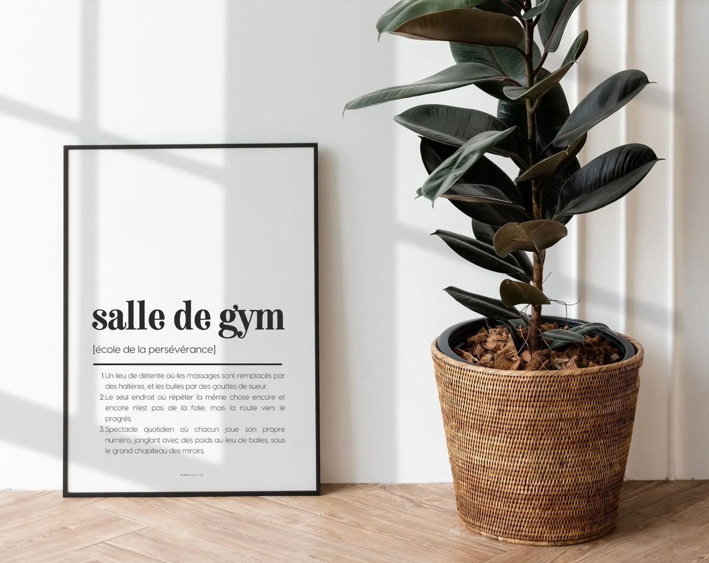 Affiche définition salle de gym - Affiche définition humour sport FLTMfrance