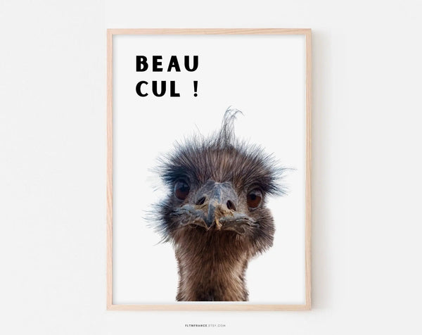 Affiche toilette beau cul avec autruche - Poster humour WC