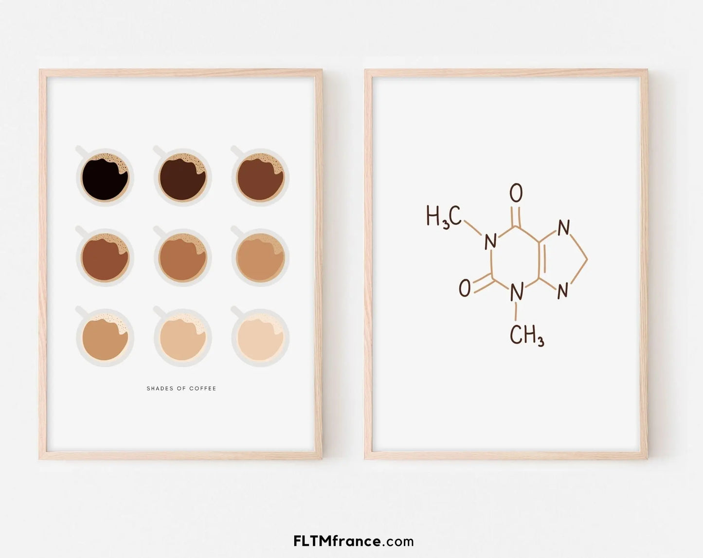 Pack 2 affiches amateurs de café - Nuances de café et molécule caféine - FLTMfrance