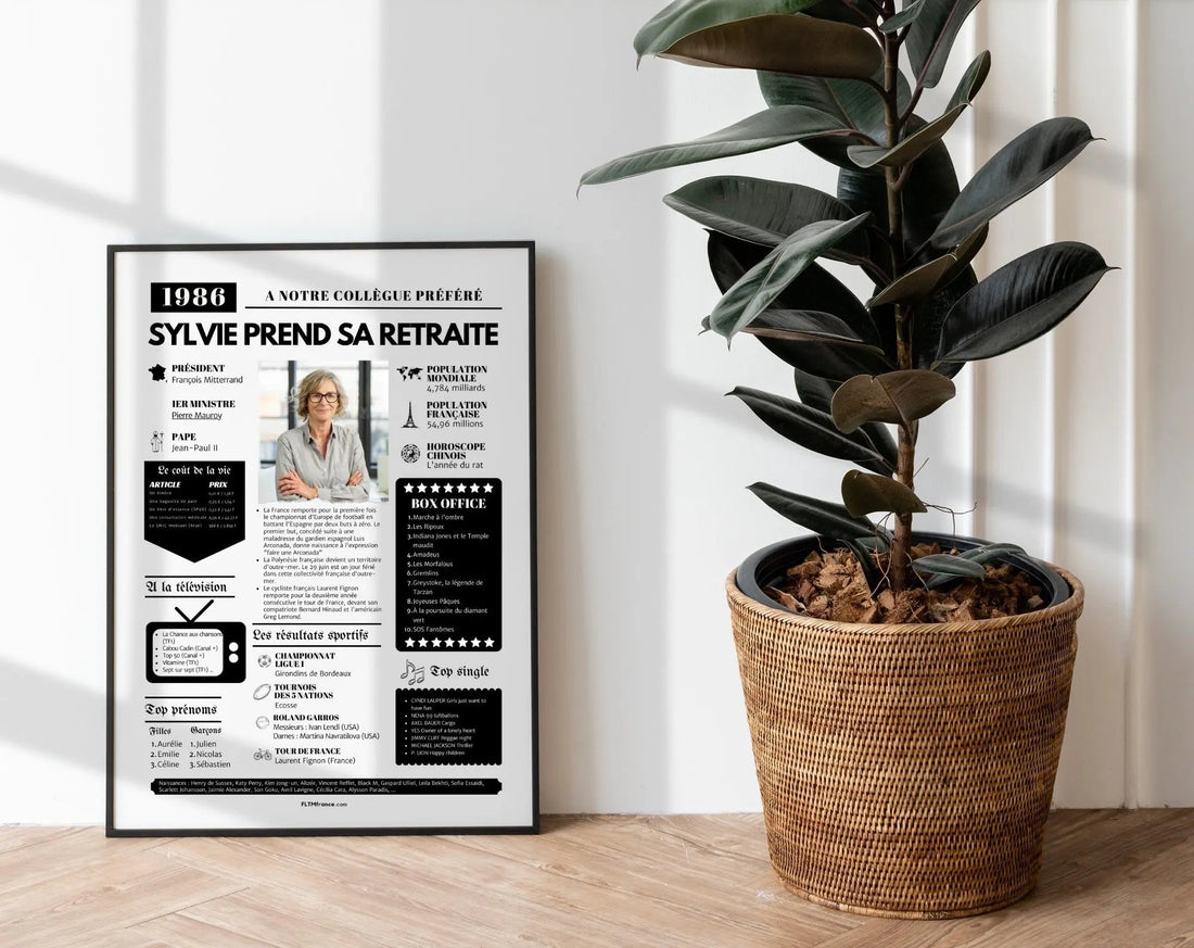 Célébrez-le-passage-à-la-retraite-avec-originalité-cadeau-départ-retraite-des-affiches-uniques-à-offrir FLTMfrance