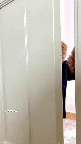 Top-100-Gif-Joyeux-Anniversaire-gratuits-à-télécharger FLTMfrance