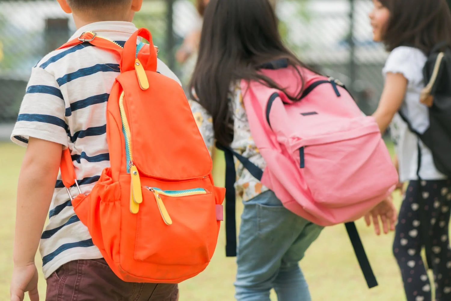 Rentrée-des-classes FLTMfrance