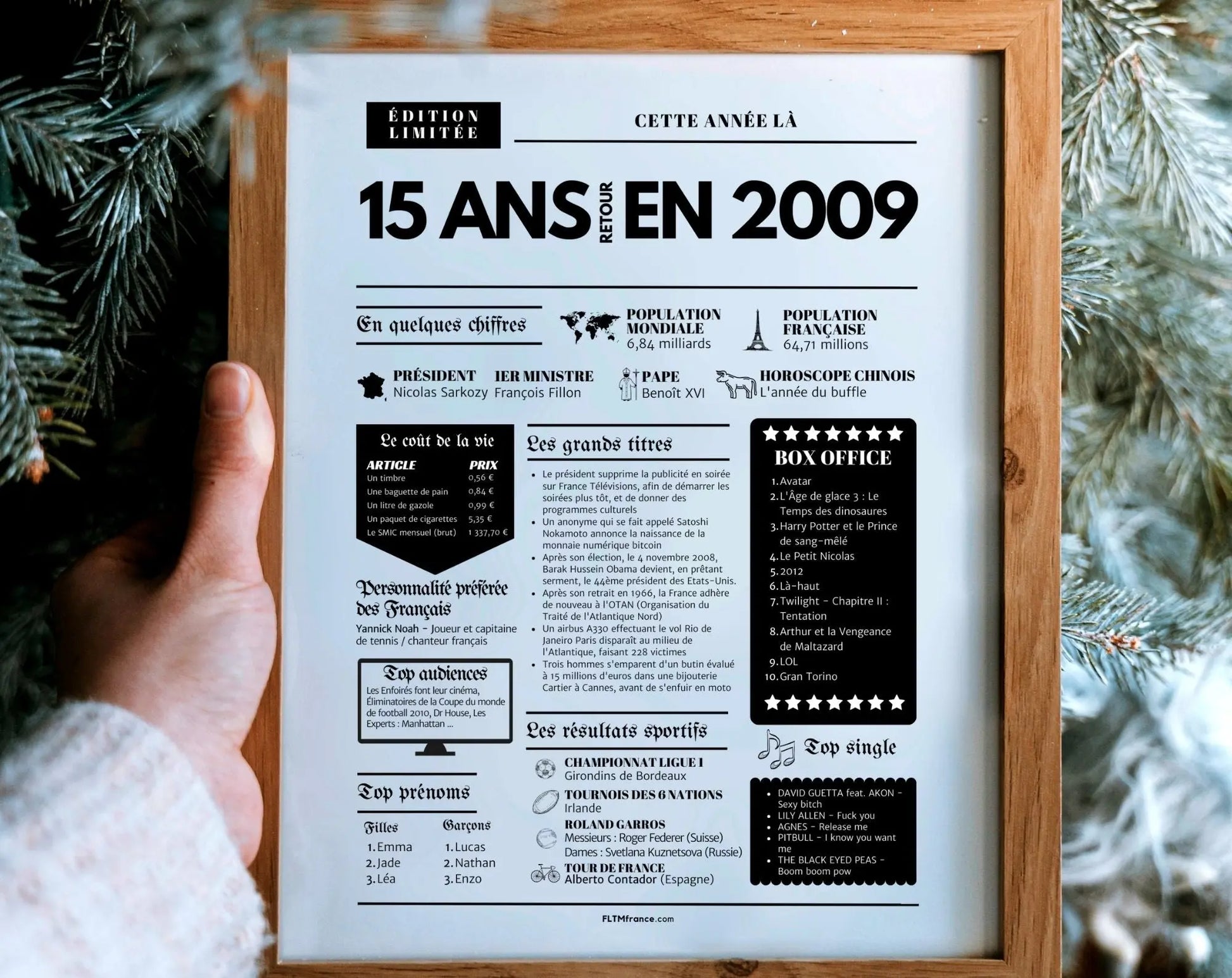 Affiche 15 ans retour en 2009 année de naissance - Carte anniversaire 15 ans FLTMfrance