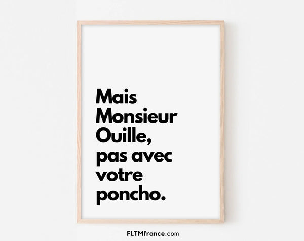 Monsieur Ouille, pas avec votre poncho - Les Visiteurs - Affiche de film