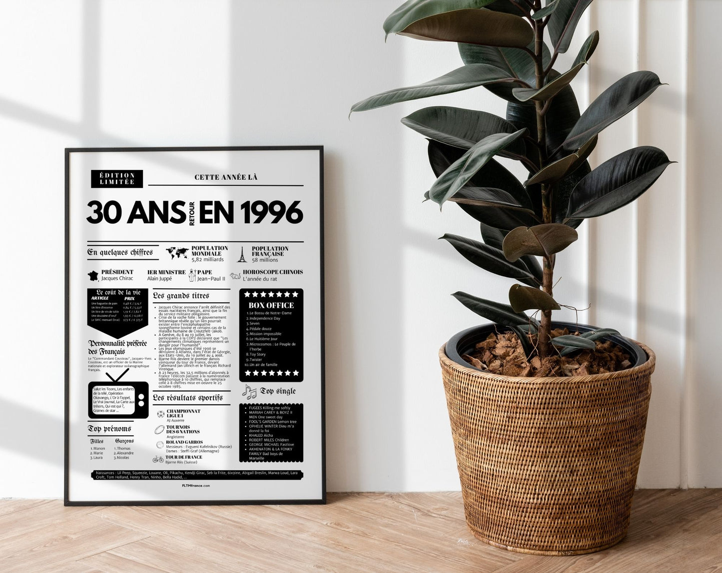 Affiche 30 ans retour en 1996 - Journal de l'année FLTM