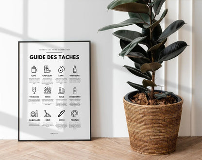 2 affiches Guide des taches et droguerie FLTMfrance