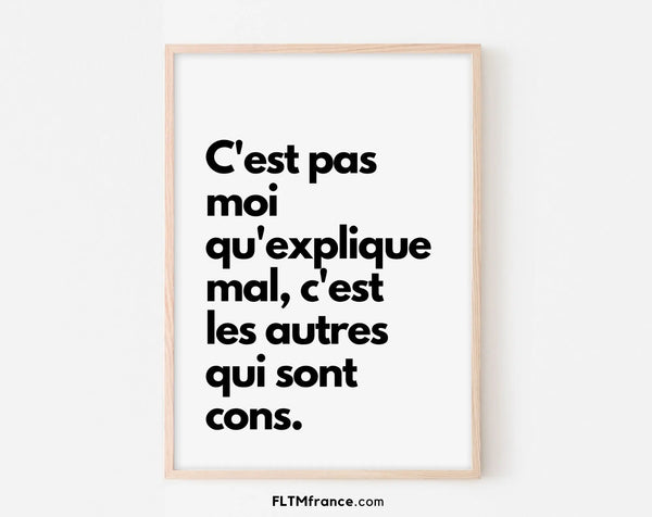 C'est pas moi qu'explique mal, c'est les autres qui sont cons - Série Kaamelott - Affiche de film