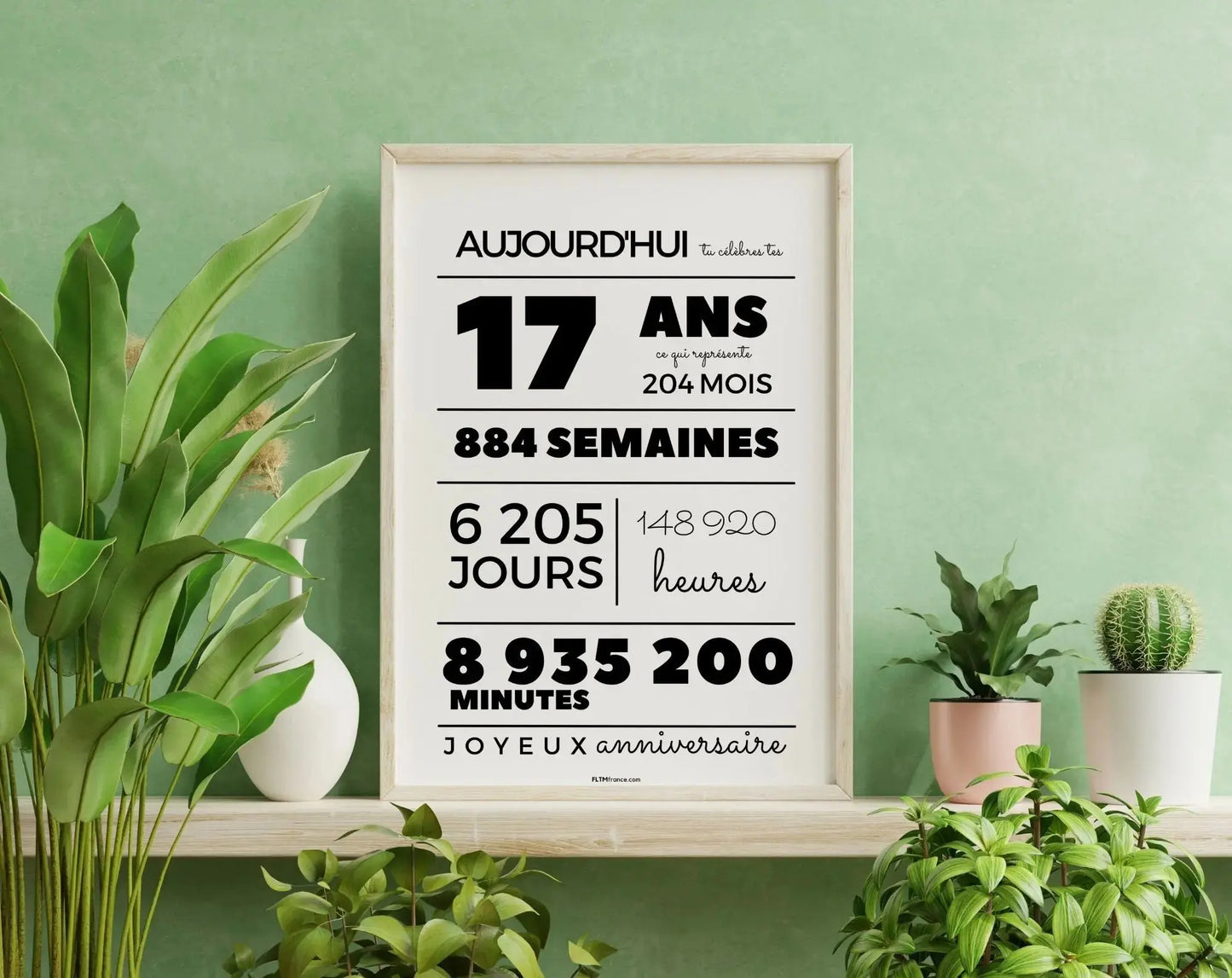 Affiche 17 ans, 204 mois, 884 semaines - Carte anniversaire FLTMfrance