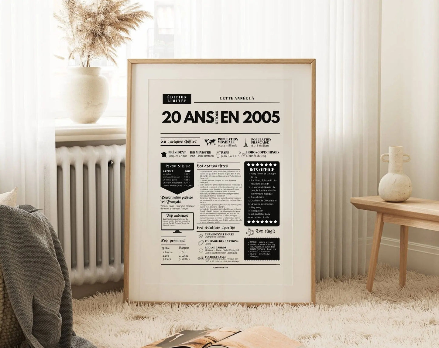 Affiche 20 ans retour en 2004 année de naissance FLTMfrance