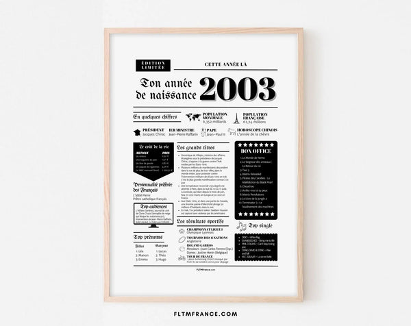 Affiche année de naissance 2003 - Cadeau anniversaire 23 ans
