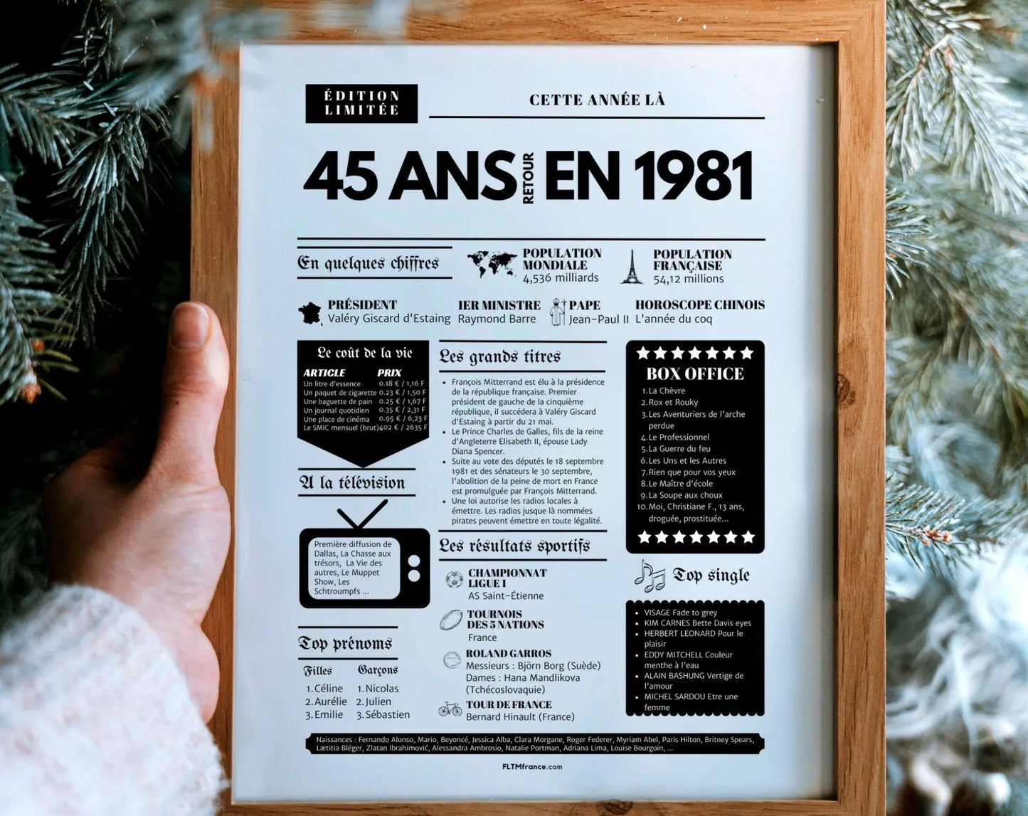 Affiche 45 ans retour en 1981 - Journal de l'année FLTM