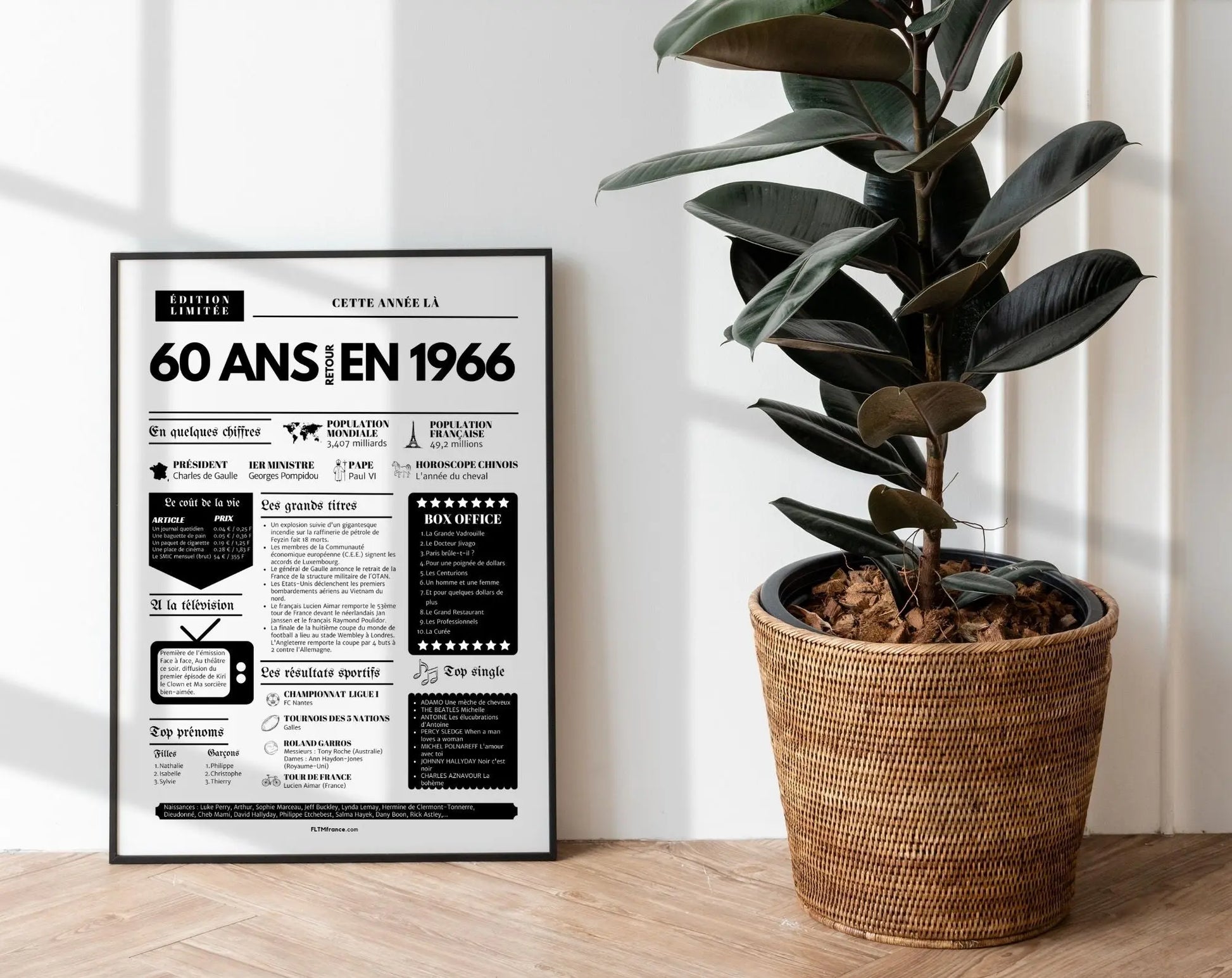 Affiche 60 ans retour en 1966 - Journal de l'année FLTM