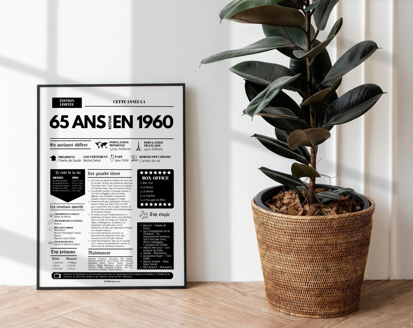 Affiche 65 ans retour en 1960 - Journal de l'année FLTMfrance