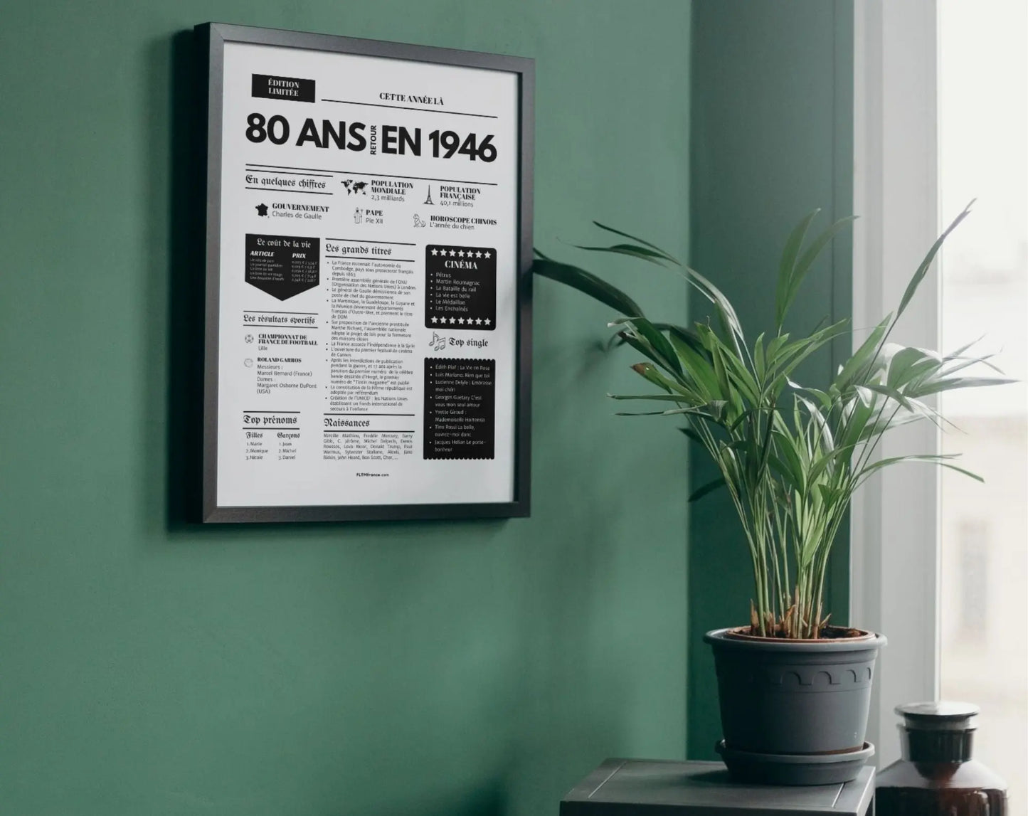 Affiche 80 ans retour en 1946 - Journal de l'année FLTM