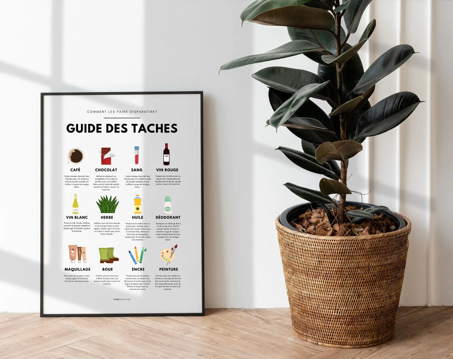 Affiche Colorée Guide d'Élimination des Taches FLTMfrance