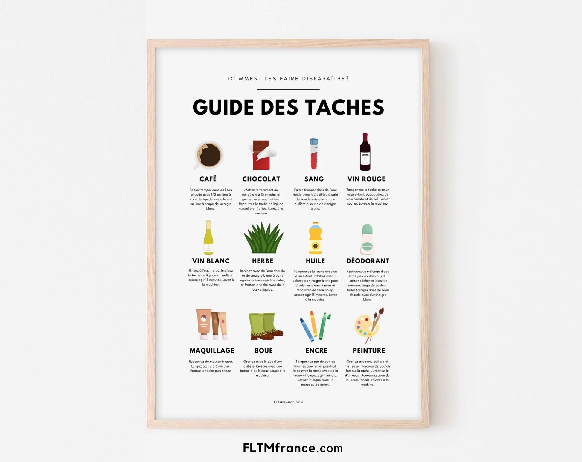 Affiche Colorée Guide d'Élimination des Taches FLTMfrance