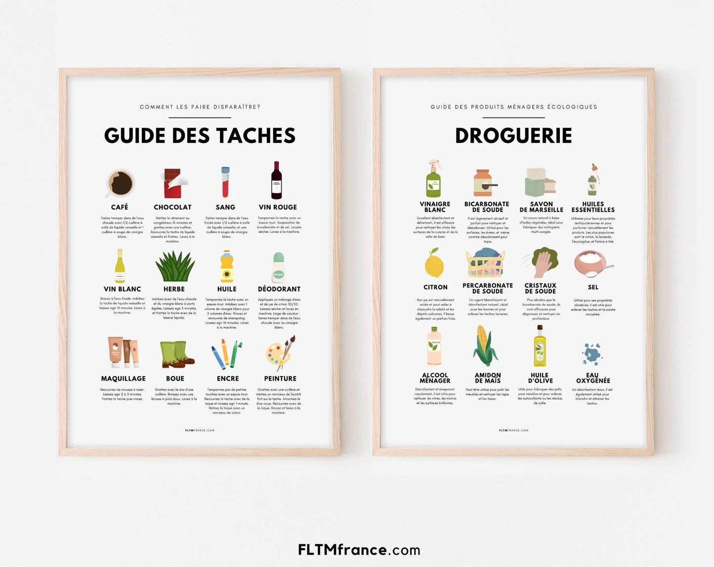 Affiche Colorée Guide d'Élimination des Taches FLTMfrance