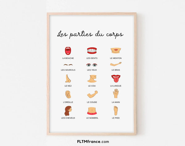 Affiche Les parties du corps - Poster éducatif Montessori