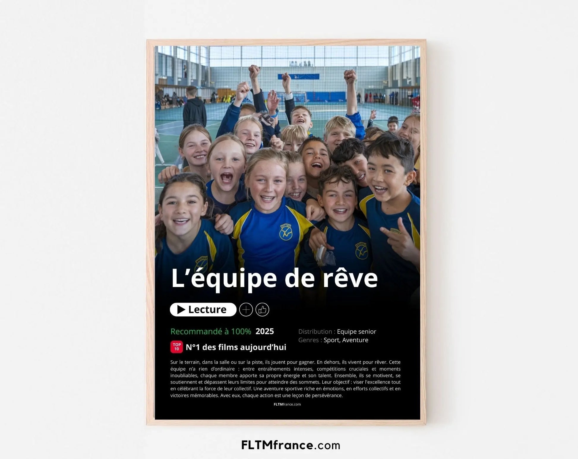 Affiche Netflix Equipe de handball personnalisée FLTMfrance