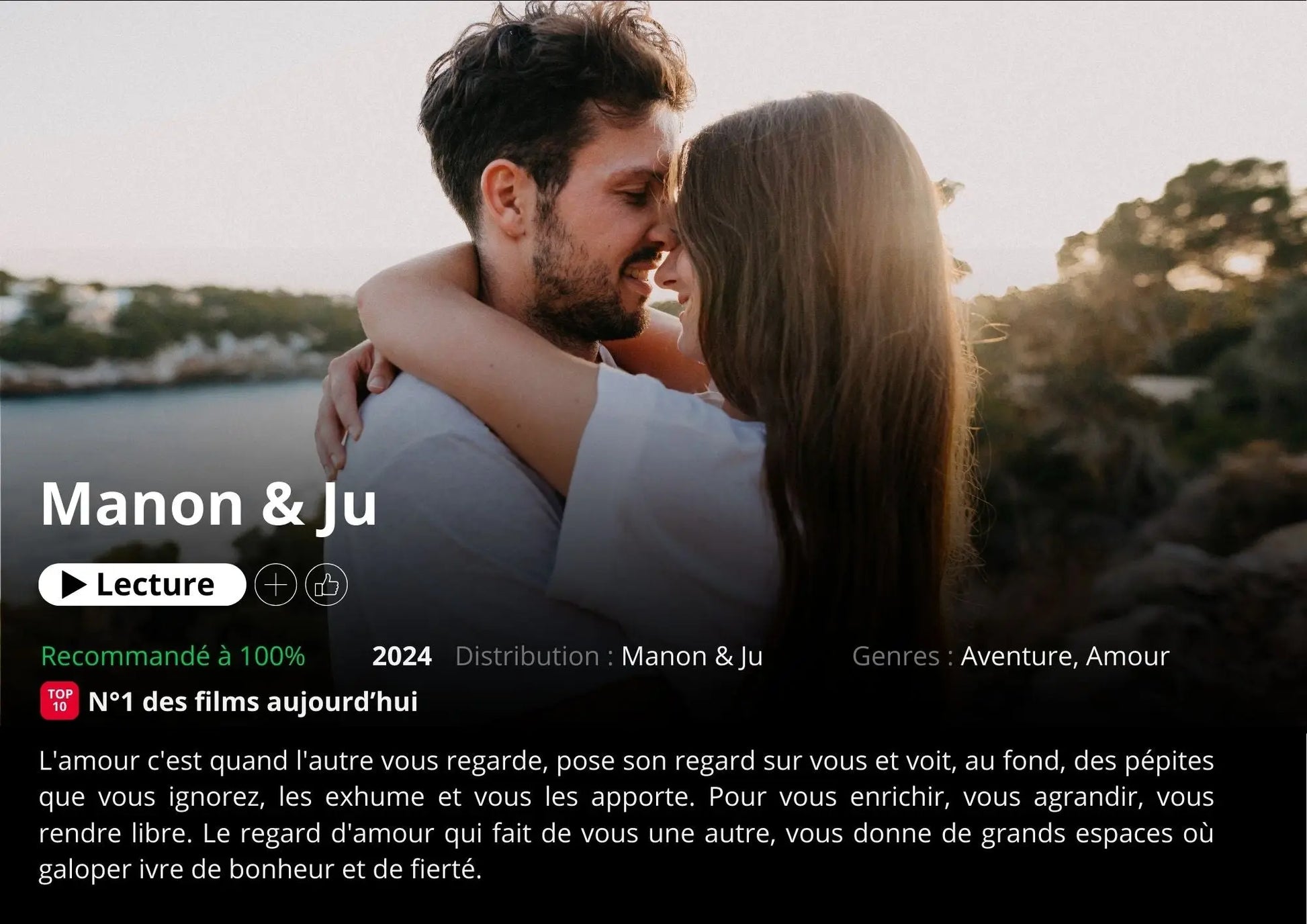 Affiche Netflix Horizontal - Affiche personnalisée FLTMfrance