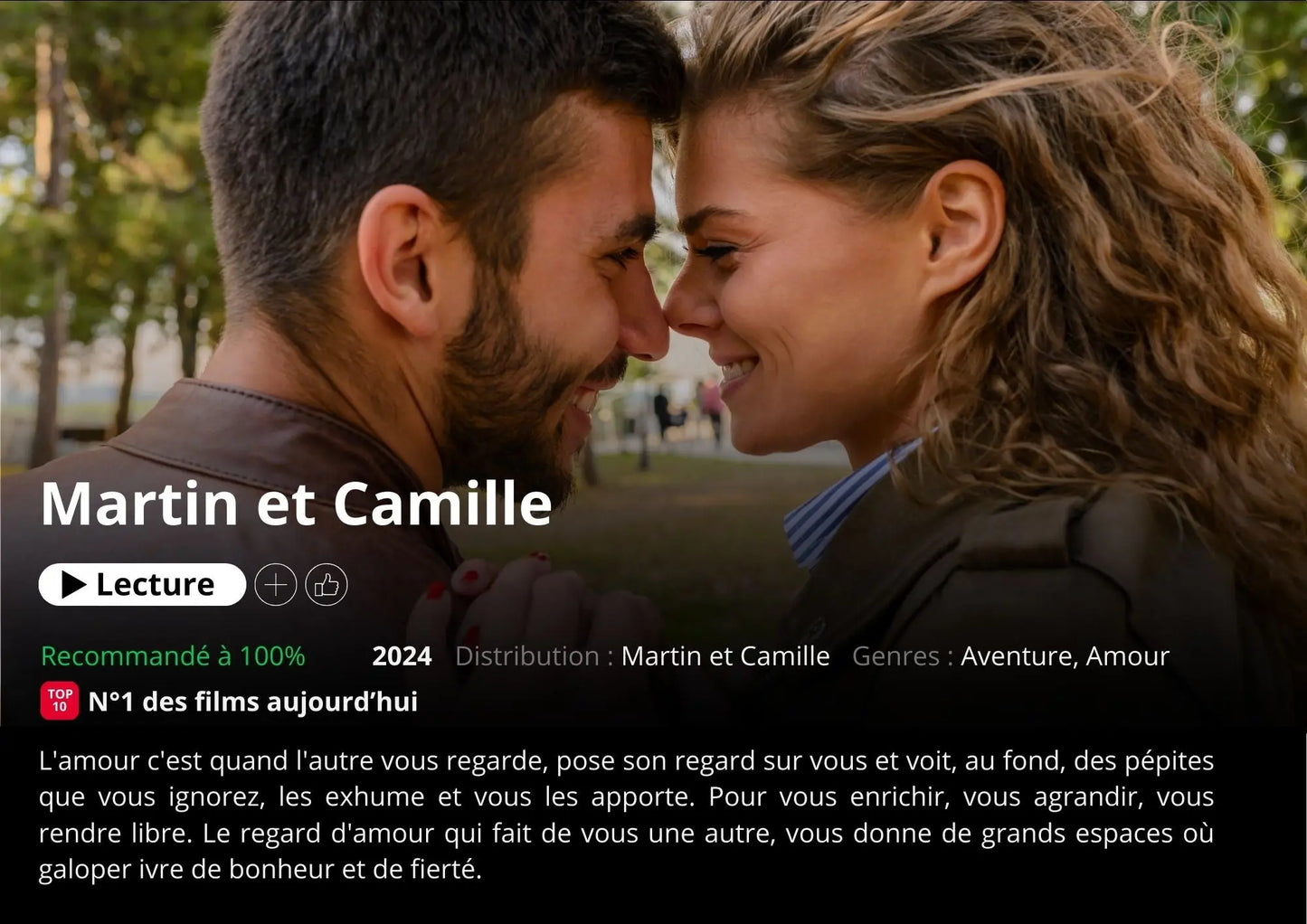 Affiche Netflix Horizontal - Affiche personnalisée FLTMfrance