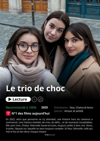 Affiche Netflix amitié personnalisée FLTMfrance