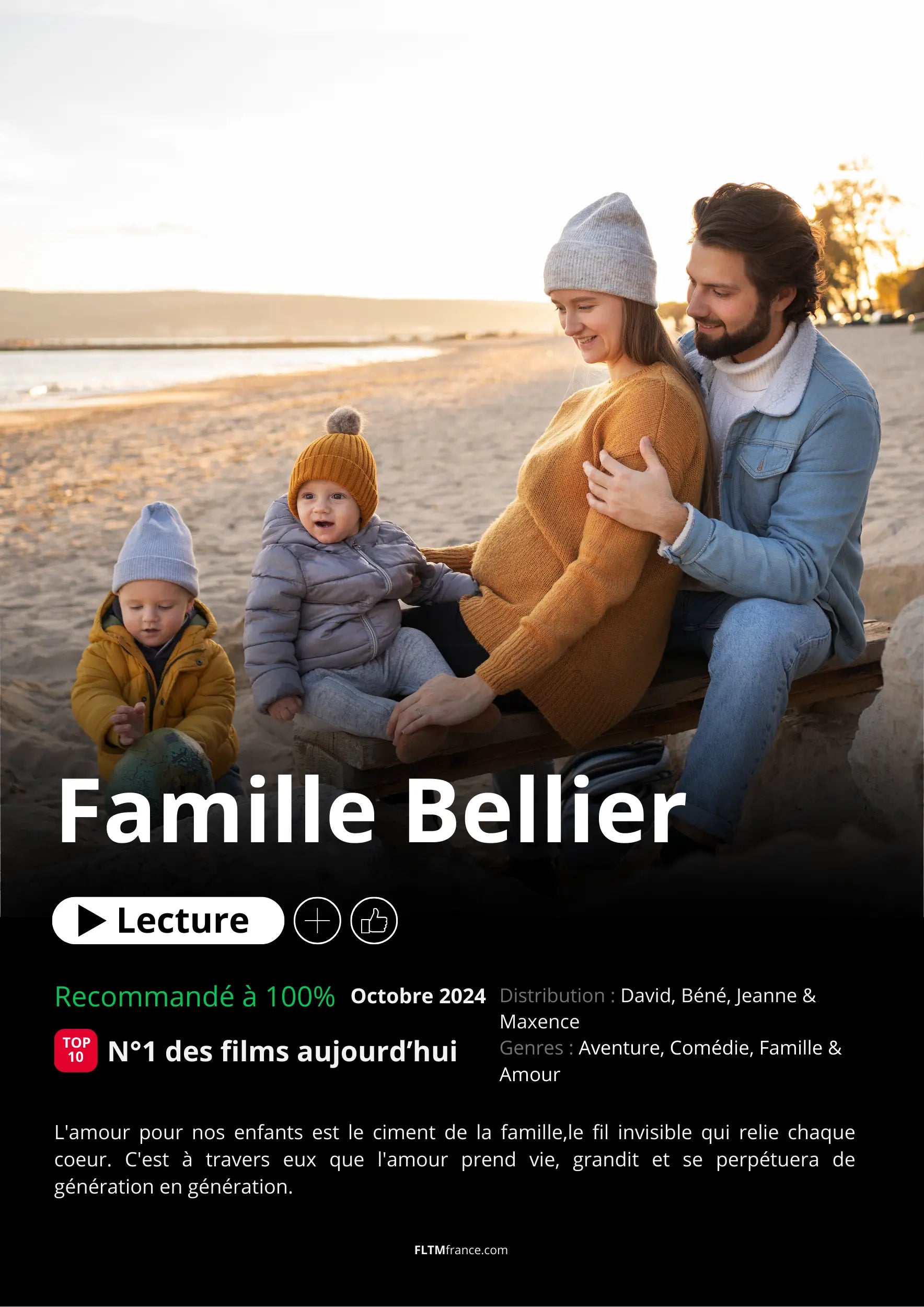 Affiche Netflix famille personnalisée FLTMfrance