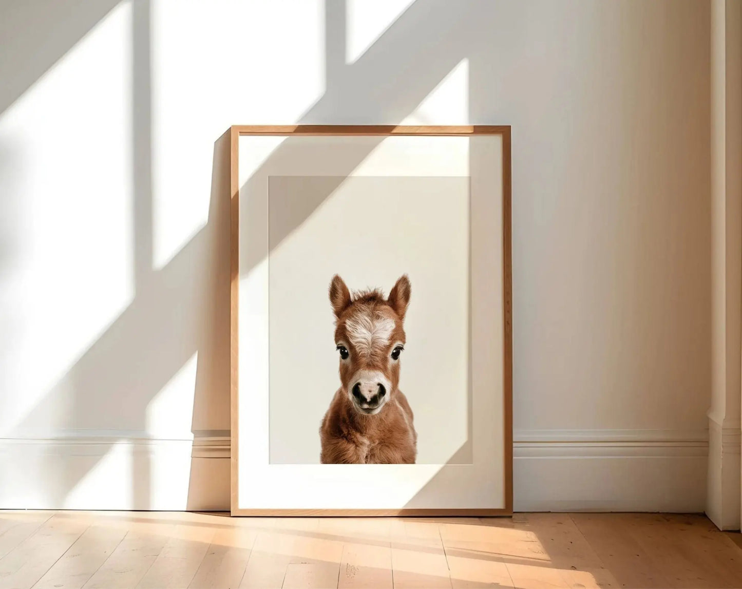 Affiche bébé cheval - Poulain FLTMfrance