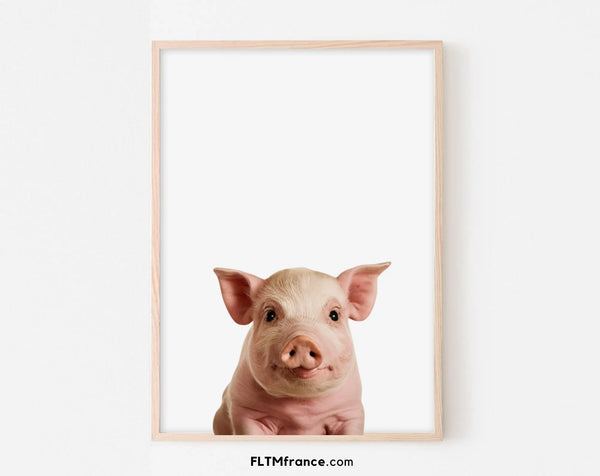 Affiche bébé cochon - Porcelet
