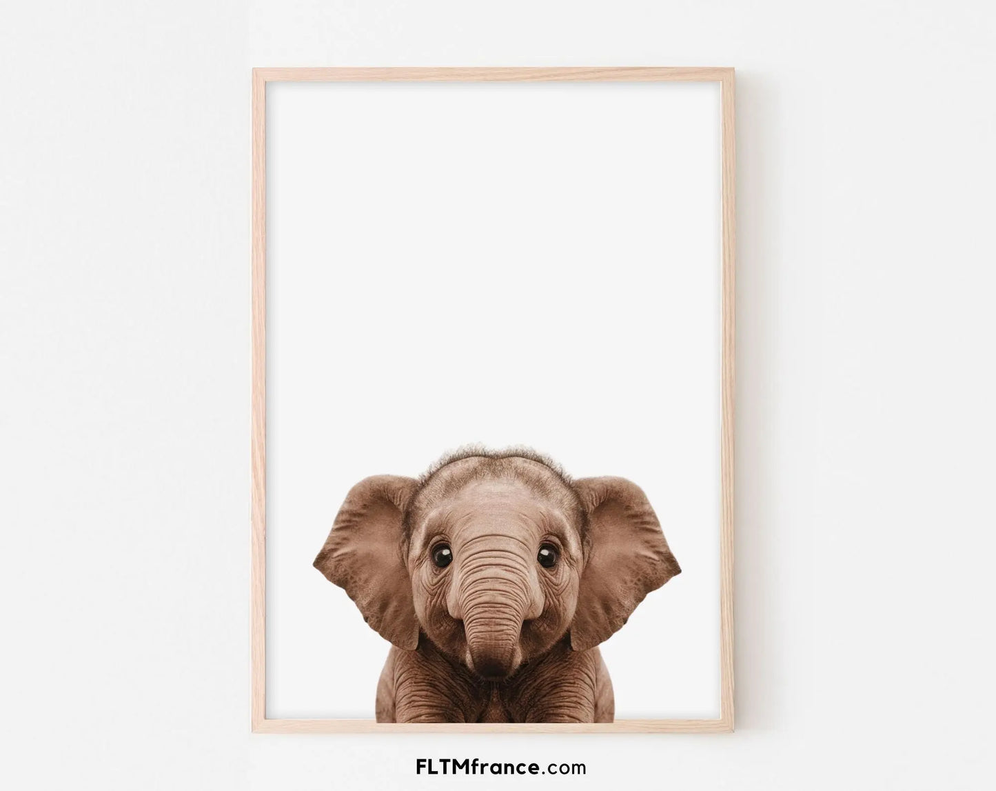 Affiche bébé éléphant - Éléphanteau FLTMfrance