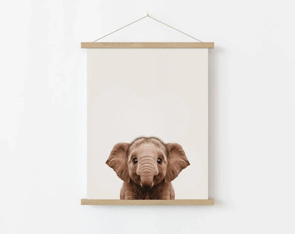 Affiche bébé éléphant - Éléphanteau FLTMfrance