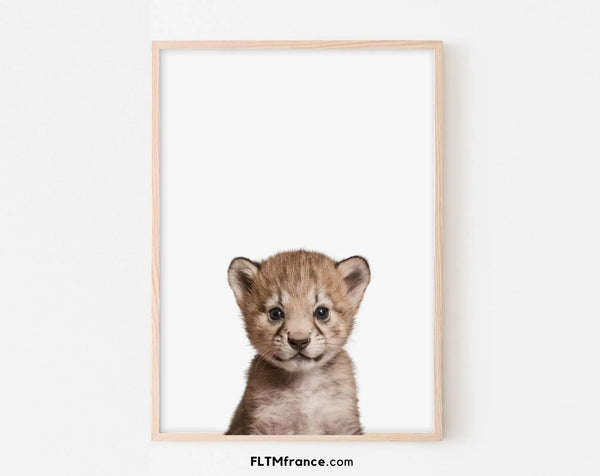 Affiche bébé guépard - Guépardeau