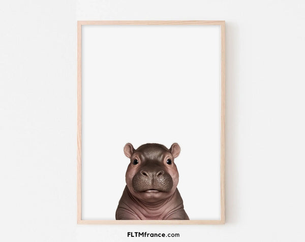 Affiche bébé hippopotame - Hippopotameau
