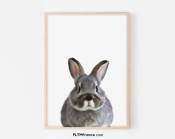Affiche bébé lapin - Lapereau