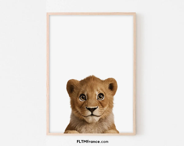 Affiche bébé lion - Lionceau