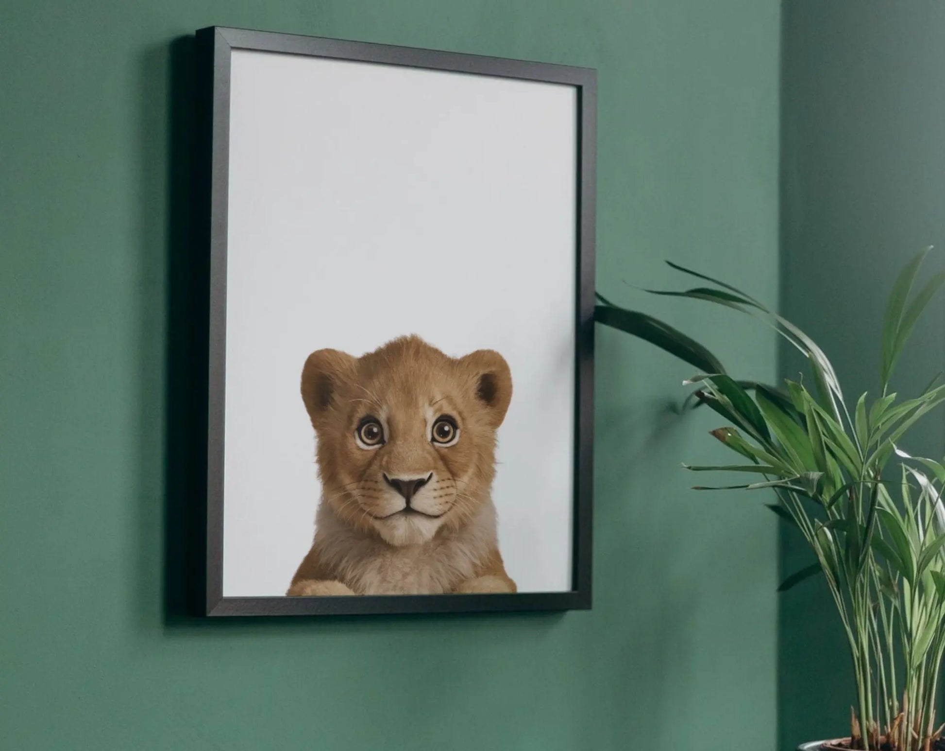 Affiche bébé lion - Lionceau FLTMfrance