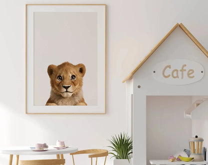 Affiche bébé lion - Lionceau FLTMfrance