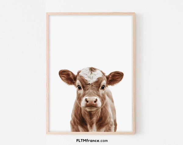 Affiche bébé vache - Veau