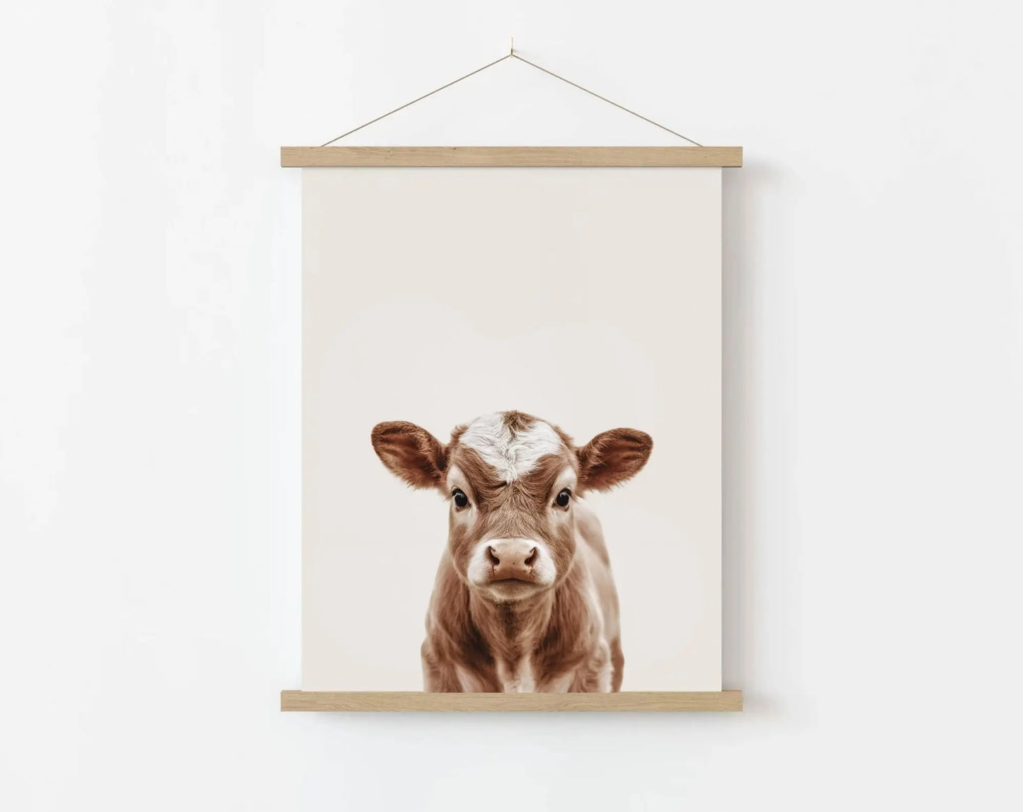 Affiche bébé vache - Veau FLTMfrance