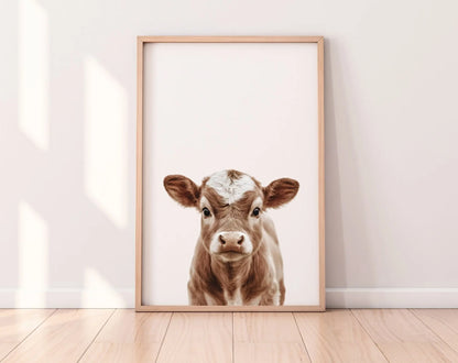 Affiche bébé vache - Veau FLTMfrance