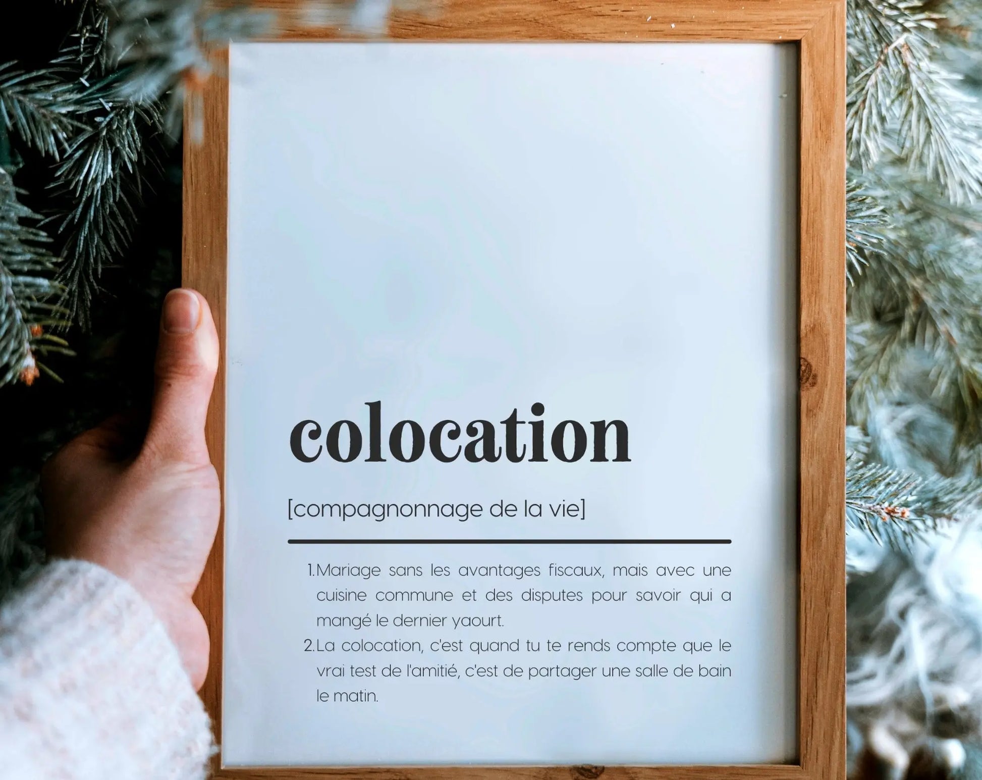 Affiche définition colocation - Affiche définition humour FLTMfrance