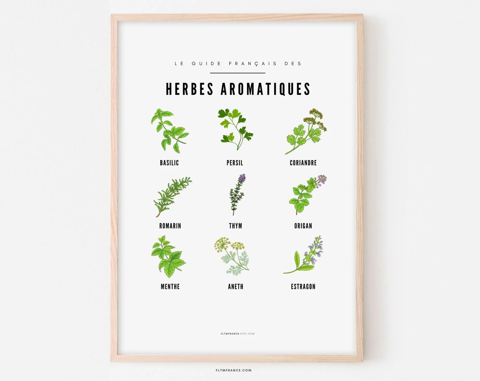 Affiches Guide Herbes aromatiques et champignons - Le guide français FLTMfrance