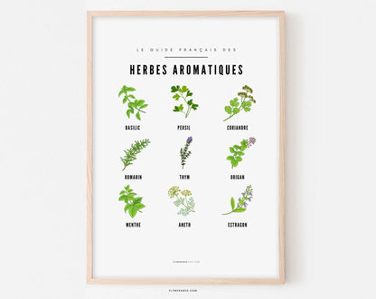 Affiches Guide Herbes aromatiques et champignons - Le guide français FLTMfrance