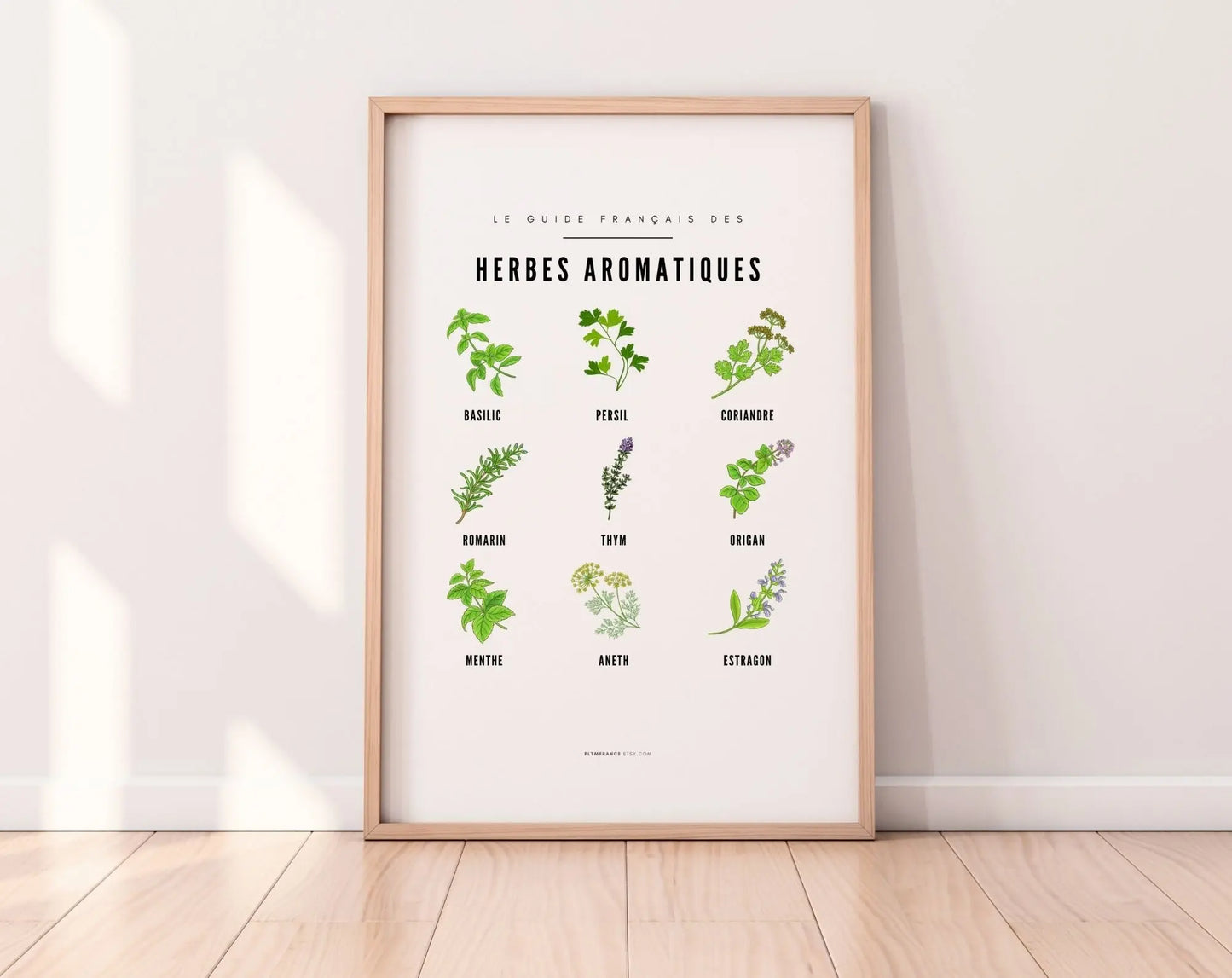 Affiches Guide Herbes aromatiques et champignons - Le guide français FLTMfrance