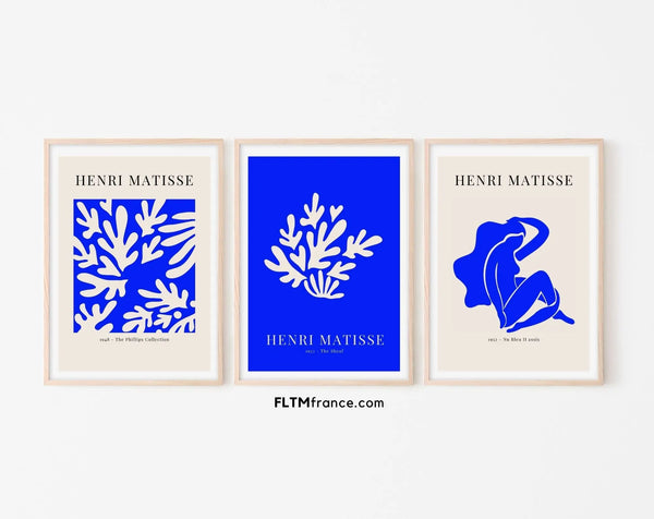 Affiches style Henri Matisse Bleu Nu bleu II - Affiche de musée