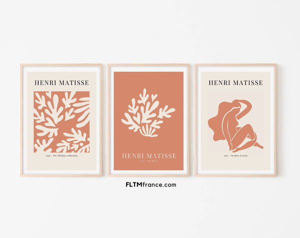 Affiches style Henri Matisse Terracotta douce - Affiche de musée