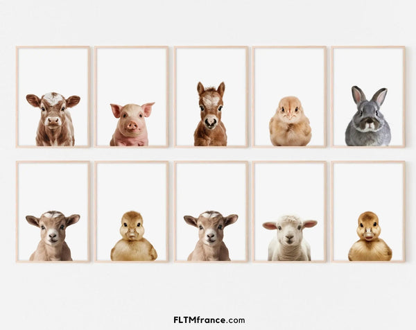 Lot de 10 affiches bébés animaux de la ferme