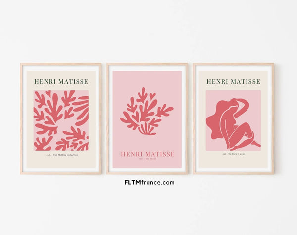 3 affiches style Henri Matisse double rose - Affiche de musée