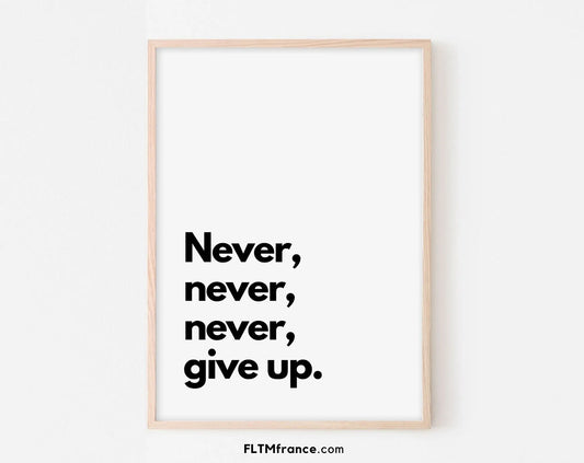 Never give up - Affiche citation FLTMfrance