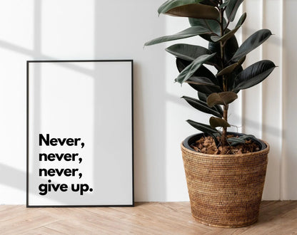 Never give up - Affiche citation FLTMfrance